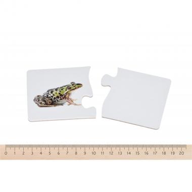 Same Toy Puzzle Animals