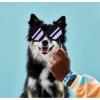 LEGO DOTS My Pets Bracelet