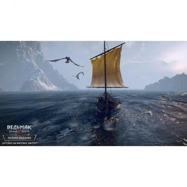 Games Software The Witcher 3: Wild Hunt (Switch)