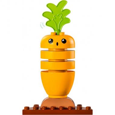 LEGO Конструктор DUPLO My First Органічний город