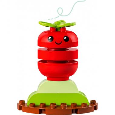 LEGO Конструктор DUPLO My First Органічний город