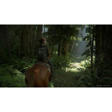 Games Software The Last of Us Part II [PS4, Russian version]