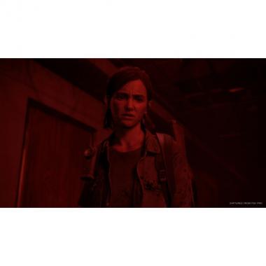 Games Software The Last of Us Part II [PS4, Russian version]