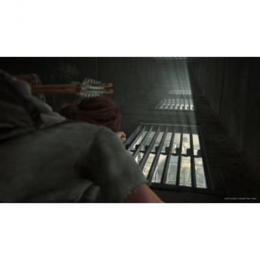 Games Software The Last of Us Part II [PS4, Russian version]