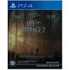 Square Enix Life is Strange 2 [Blu-Ray диск, English version] (PS4)