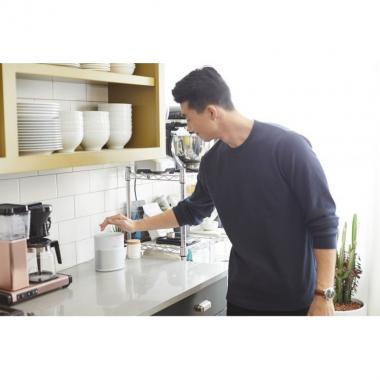 Bose Home Speaker 300[Silver]