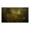 Games Software Diablo III: Eternal Collection (Switch)