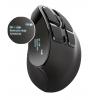 Trust Voxx Rechargeable Ergonomic WL Black