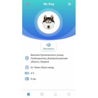 GoGPSme GPS трекер-кулон D15[D15RD]