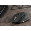 2E Миша MF215 WL Black