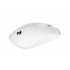 2E MF210 WL[White]