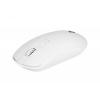 2E MF210 WL[White]