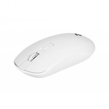 2E MF210 WL[White]