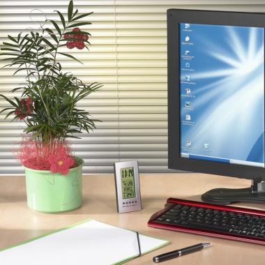 HAMA Термометр LCD Silver