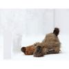sigikid Beasts Dog (45 cm)