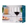 ARDESTO Wine glasses set Gloria 6 pcs, 480 ml, glass