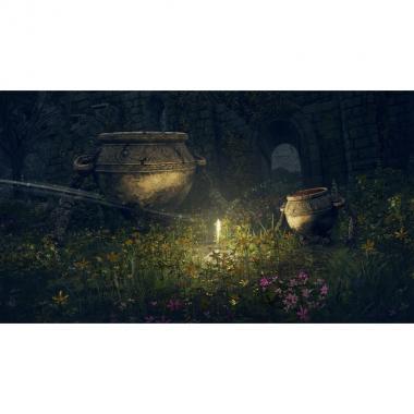 Games Software Elden Ring [Blu-ray disk] (PS5)