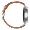 Huawei GT 2 Classic 46 mm (LTN-B19) Pebble Brown