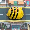 tts Прозоре поле Bee-Bot and Blue-Bot Transparent Grid Mat