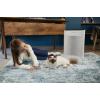 Rowenta PU3080F0 Pure Air