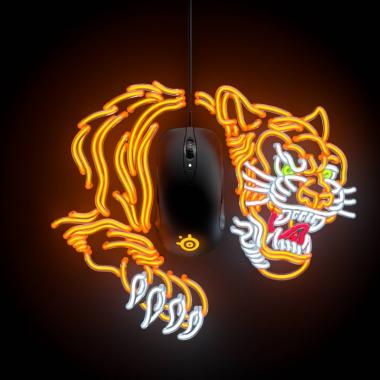 SteelSeries Sensei Ten