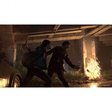 Sony Interactive Entertainment The Last of Us: Part II [Blu-Ray диск] (PlayStation)