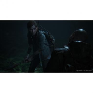 Sony Interactive Entertainment The Last of Us: Part II [Blu-Ray диск] (PlayStation)