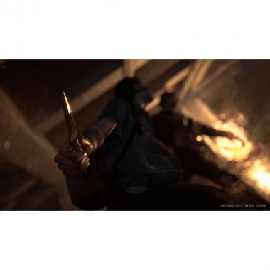 Sony Interactive Entertainment The Last of Us: Part II [Blu-Ray диск] (PlayStation)