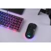 2E Gaming Mouse HyperDrive Lite WL, RGB Black