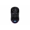 2E Gaming Mouse HyperDrive Lite WL, RGB Black