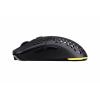 2E Gaming Mouse HyperDrive Lite WL, RGB Black