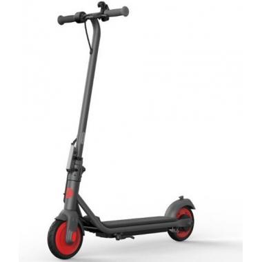 Segway Электросамокат Ninebot by Segway C20
