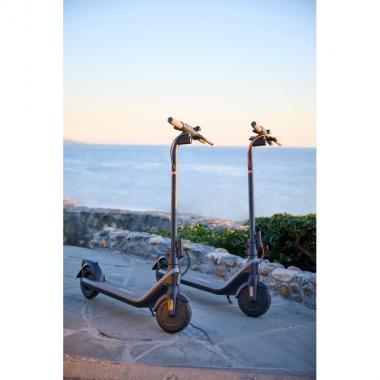 Segway KickScooter Ninebot E2 E, black