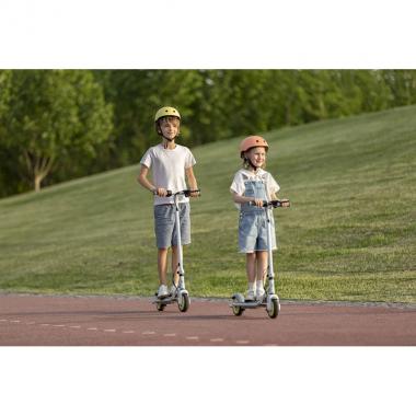 Segway Электросамокат Ninebot by Segway C8