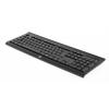HP Wireless Keyboard K2500