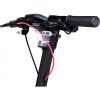 Segway KickScooter P100SE, black