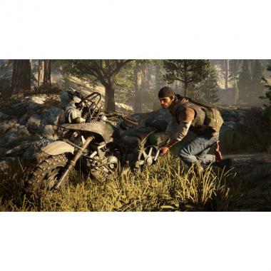 Sony Interactive Entertainment Days Gone [Blu-Ray] (PS4)