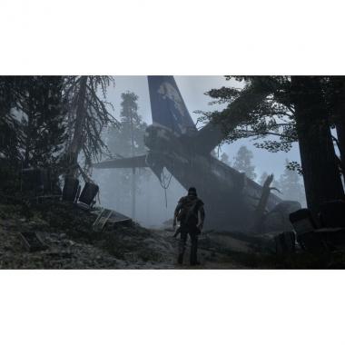 Sony Interactive Entertainment Days Gone [Blu-Ray] (PS4)