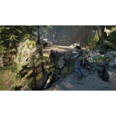 Sony Interactive Entertainment Days Gone [Blu-Ray] (PS4)