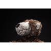 sigikid Beasts Bonsai bear (20 cm)