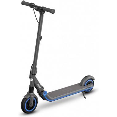 Segway Ninebot E10