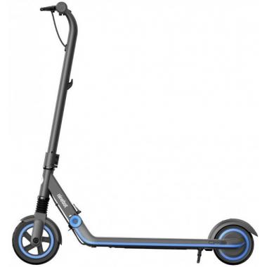 Segway Ninebot E10