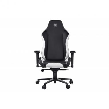 2E Gaming GC24 Black/White