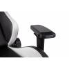 2E Gaming GC24 Black/White