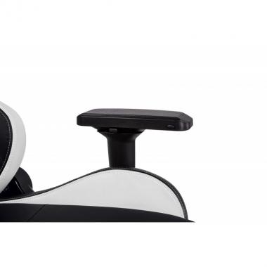 2E Gaming GC24 Black/White