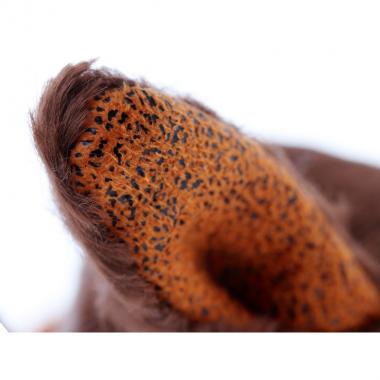 sigikid Beasts Fox and duck (21 cm)