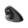 Trust Bayo Ergonomic Rechargeable Wireless Mouse