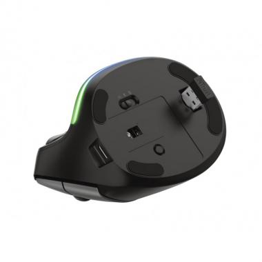 Trust Bayo Ergonomic Rechargeable Wireless Mouse