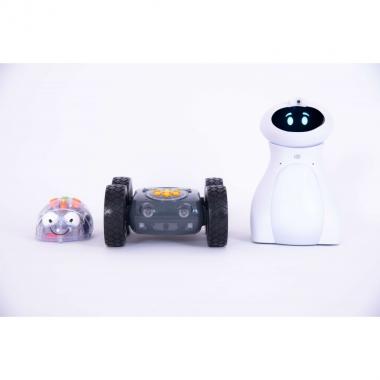tts Робот Oti-Bot