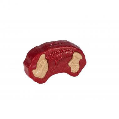 Same Toy Динозавр - Дракон (свет, звук) красный, подарочная уп.